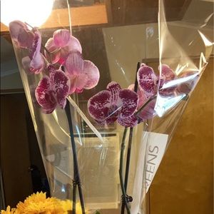 Meet your Posher, Hailey